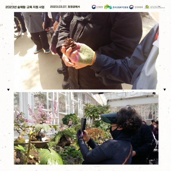 창경궁 내 숲체험 강사와 참여자분들 사진