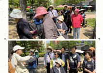 2023년 5월 9일 여의도 공원 산림복지 진행 사진