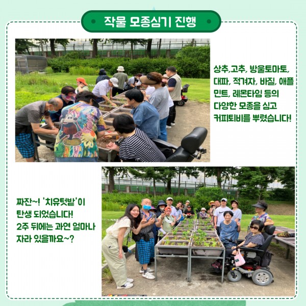 보라매 농부 활동: 모종 심기 이미지