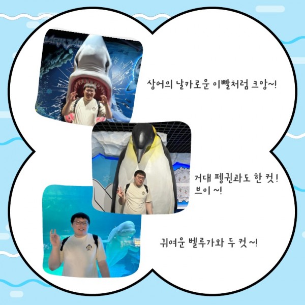 상어의 날카로운 이빨처럼 크앙~! 거대 펭귄과도 한 컷 !  브이 ~! 귀여운 벨루가와 두 컷 ~!