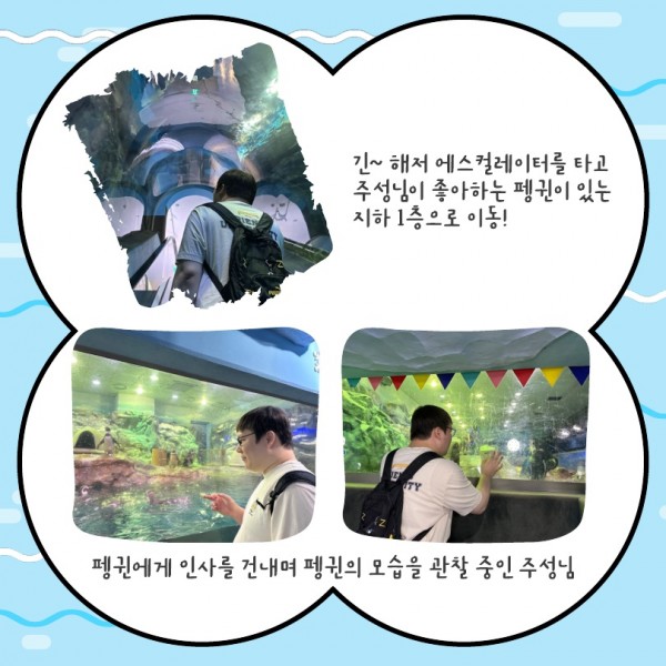 긴~ 해저 에스컬레이터를 타고 주성님이 좋아하는 펭귄이 있는 지하 1층으로 이동! 펭귄에게 인사를 건내며 펭귄의 모습을 관찰 중인 주성님