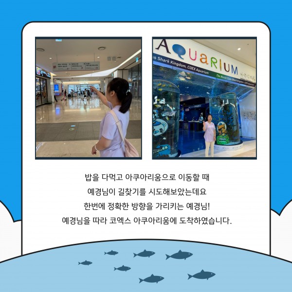코엑스아쿠아리움으로 이동하는 모습이 담긴 이미지