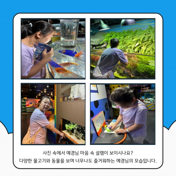 굿데이 활동(물고기를 구경하는 모습) 사진이 담긴 이미지