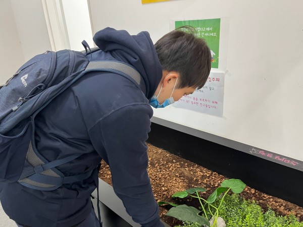 스마일크랩 곤충을 구경하고 있는 참여자 사진