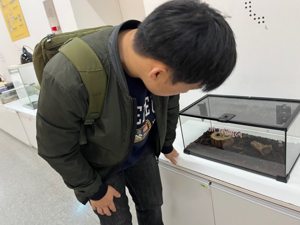 애사슴벌레를 구경하고 있는 참여자 사진