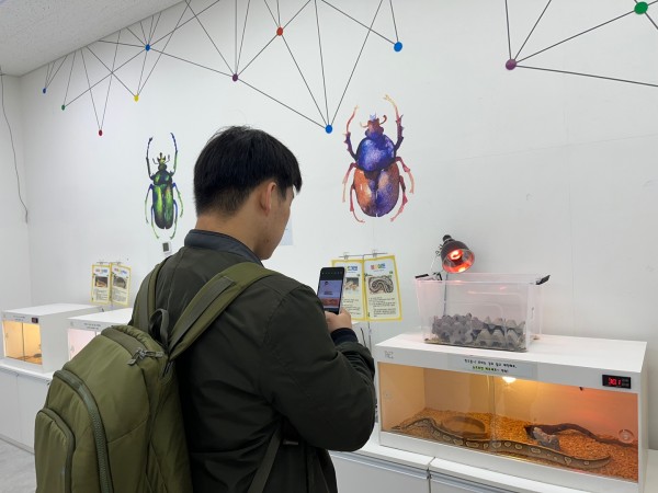 곤충 사진을 본인의 휴대폰으로 찍고 있는 참여자 사진