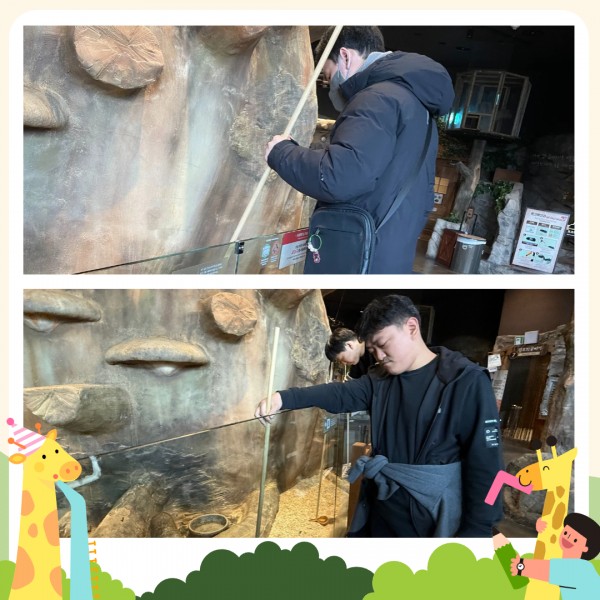 주렁주렁 동물원에서 동물에게 먹이를 주고 있는 참여자 사진