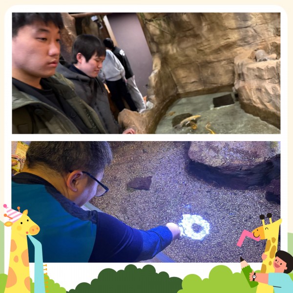 주렁주렁 동물원에서 비단잉어를 보고 있는 참여자와 닥터피쉬를 체험하는 사진