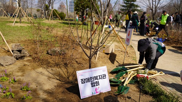 다 심어진 옥매