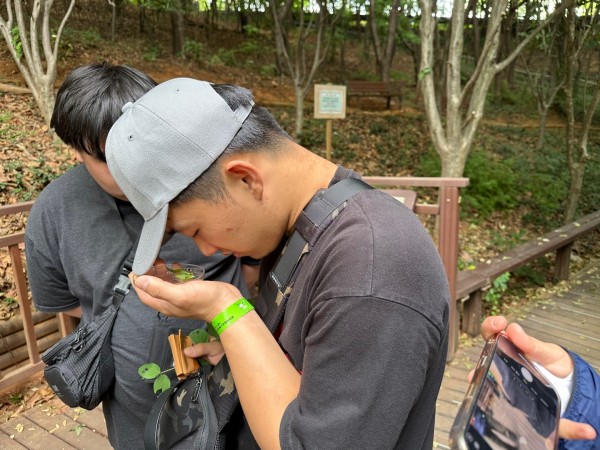 애벌레를 구경하고 있는 사진