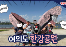 함께 걸음, 어울림반 여의도 한강공원 대표사진