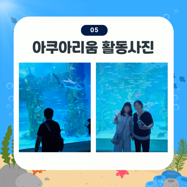 아쿠아리움 활동사진 1. 거대한 대형 수족관 앞에서 참여자와 활동지원사가 함께 기념 사진을 찍고 있는 모습. 상어와 작은 물고기들이 어우러진 사진입니다.