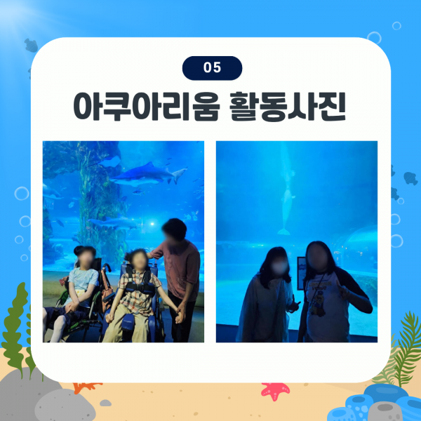 아쿠아리움 활동사진 2. 거대한 대형 수족관 앞에서 참여자와 활동지원사가 상어, 벨루가와 함께 기념사진을 찍고 있는 모습입니다.