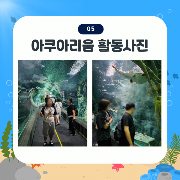 아쿠아리움 활동사진 6. 수족관 터널에 다양한 크고 작은 물고기들을 구경하고 있는 참여자와 활동지원사의 모습입니다.