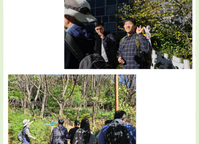 [평생학습지원팀] 함께두드림&함께하모니 서리풀숲속상상학교