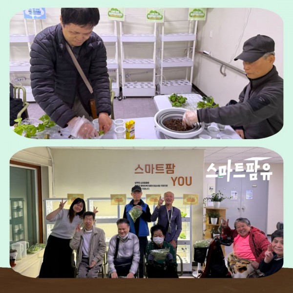 스마트팜유 활동사진(모종 심는 사진, 수확한 상추를 들고 찍은 단체사진)