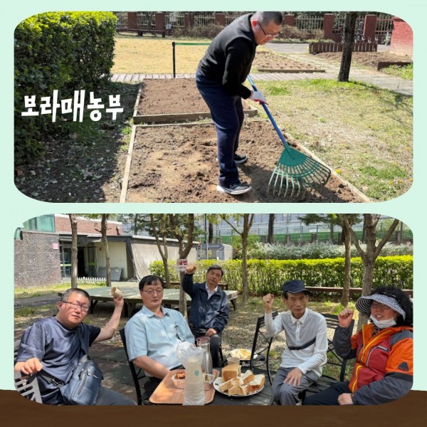 보라매농부 활동사진(텃밭가는 사진, 참여자 단체사진)