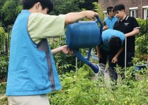 텃밭관리