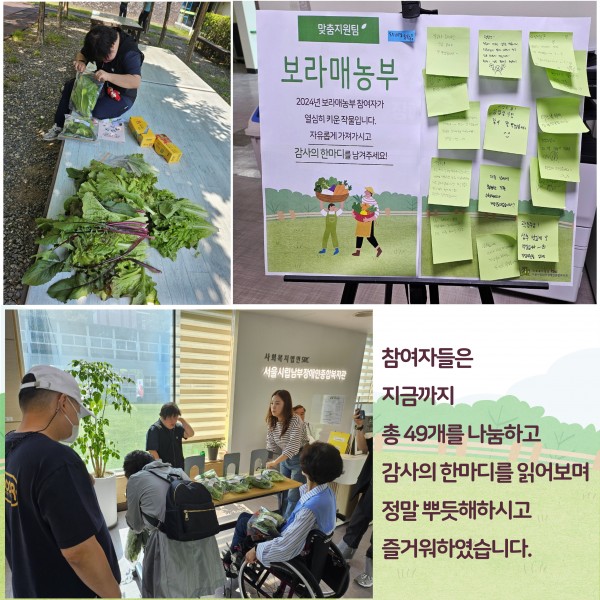 참여자들은 지금까지 총 49개를 나눔하고 감사의 한마디를 읽어보며 뿌듯해하시고 즐거워하였습니다. 참여자가 상추를 포장하는 사진.  감사의 한마디 포스터 사진, 사람들이 진열된 상추 옆에 모여있는 사진