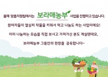 올해 맞춤지원팀에서는 보라매농부 사업을 진행하고 있습니다. 참여자들이 열심히 작물을 키워서 먹고 나눔도 하는 사업이에요! 이미 나눔하는 모습을 직접 보시고 가져가신 분도 계실텐데요, 보라매농부 그동안의 현장을 공유합니다~