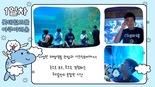 1일차 롯데월드몰 아쿠아리움
다양한 해양생물 관람과 시크릿투어까지!
눈으로 보고, 손으로 경험하는 우리들만의 특별한 시간
